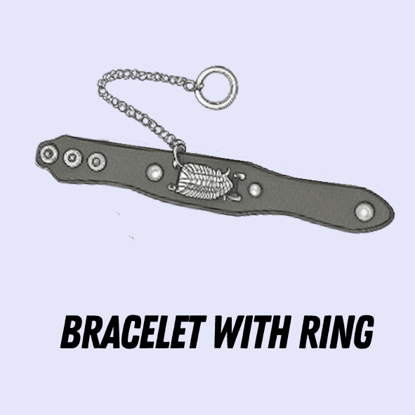 Bracelet with ring